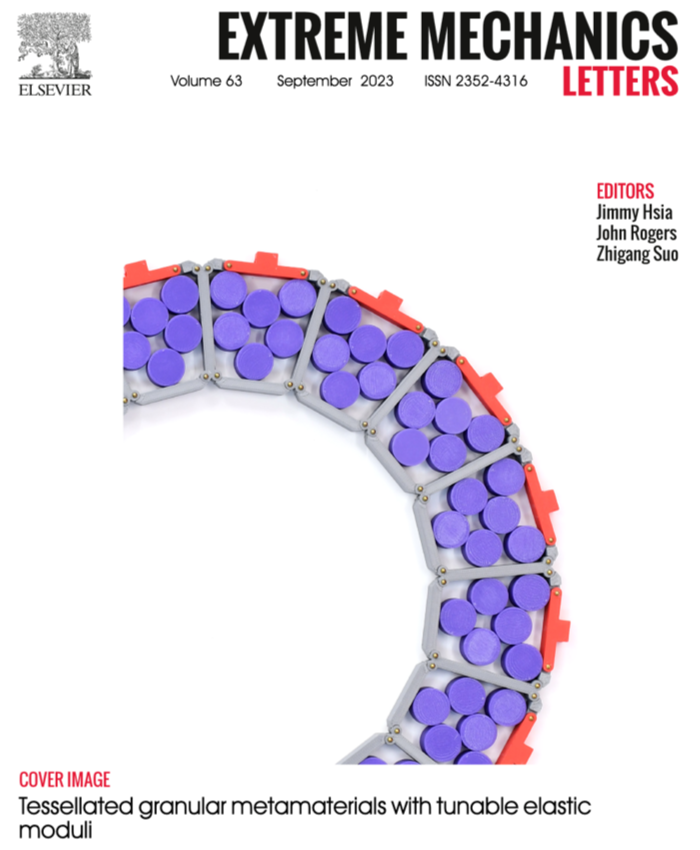 Pashine - 2023 - Tesselated granular metamaterials with tunable elastic moduli