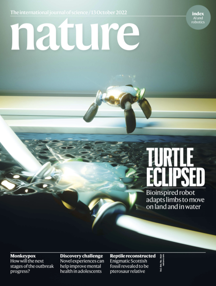 Multi-environment robotic transitions through adaptive morphogenesis