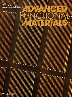 Printed gallium-indium alloy stretchable circuits. Cover of Advanced Functional Materials