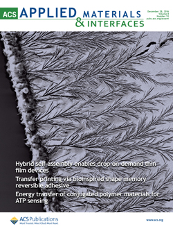 Hybrid self-assembly of gallium-indium alloy onto PDMS. Cover of ACS Applied Materials and Interfaces