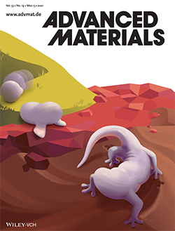 Shape changing robots: Bioinspiration, simulation, and physical realization