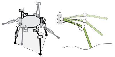 Legged Robots