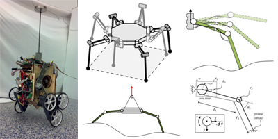 Legged and Mobile Robots