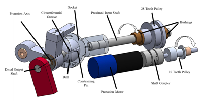 Prosthetic Wrists