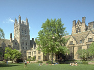 Yale Campus