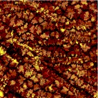 C60 Monolayers on Germanium Sulfide