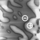 Electrostatic Domain Structure on the GASH(0001) Surface