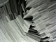 Birefringent texture of a lyotropic mesophase viewed through crossed polarizers