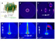 Magnetically aligned block copolymers