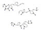 Different sequence distributions of hydrogen bonded surfactants along polymer backbone