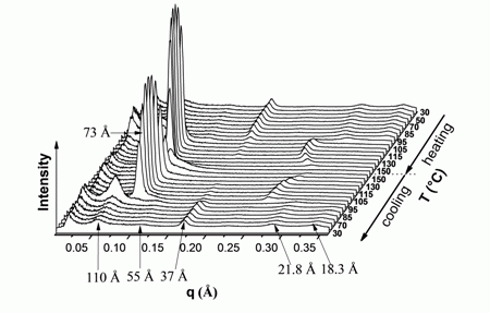 Cylindrical microdomains of an 
LC block copolymeraligned by high magnetic field