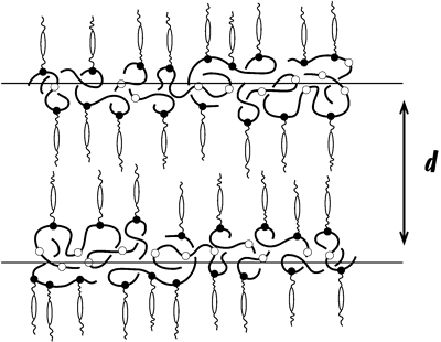 Supramolecular polymer