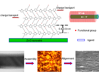 Core-shell nanowires for photovoltaics - schematic