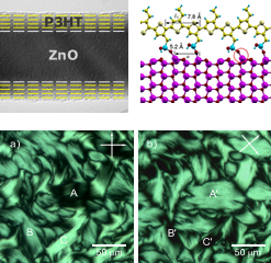 Core-shell nanowires for photovoltaics - nematic textures and surface structure