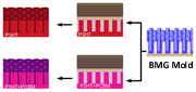 ToC graphic