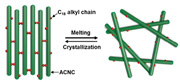 Gels from polymer-grafted cellulose nanocrystals