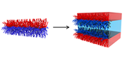 Janus bottlebrush copolymers