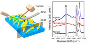 Aligned graphene oxide sheets provide microbial resitance for membranes.