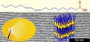TEM image of lamellar organization of polymer nanosheets and photograph of polymer film.