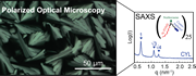 POM shows large grains; SAXS shows sub-10nm assembly.