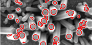 ZnO Nanowire