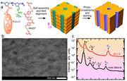 Aligned nanopores and photopatterned alignment of block copolymers using permanent magnets