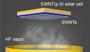 HF vapor treatment of SWNTs