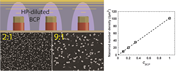 ZnO nanorods templated by block copolymer micelles