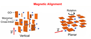 Magnetic alignment of graphene oxide nanosheets leads to different interactions with bacteria.