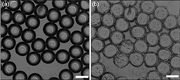 Microcapsules with particle-polymer based shells.