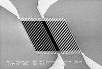 FPW sensor