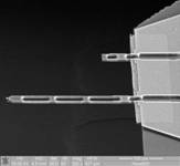 AFM probes