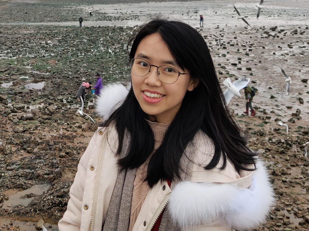 Fengyan Yang